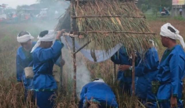 Tradisi Murok Jerami di Bangka Tengah, Simbol Syukur Panen dan Identitas Budaya Suku Mengkanau