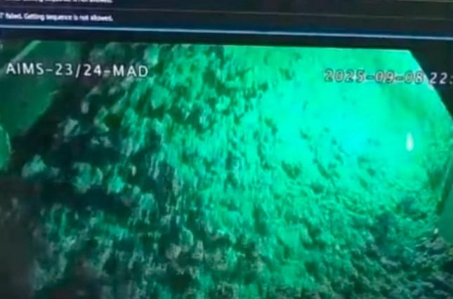 Tujuh Pekerja Masih Terjebak di Tambang Bawah Tanah Freeport, Evakuasi Terkendala Material Lumpur
