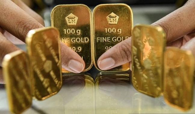 Harga Emas Pegadaian Naik Kompak: Antam Tertinggi, Galeri24 dan UBS Ikut Menguat