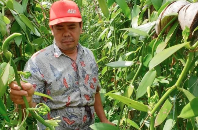 Antam Targetkan Produksi "Emas Hijau" dengan 93 Persen Energi Terbarukan