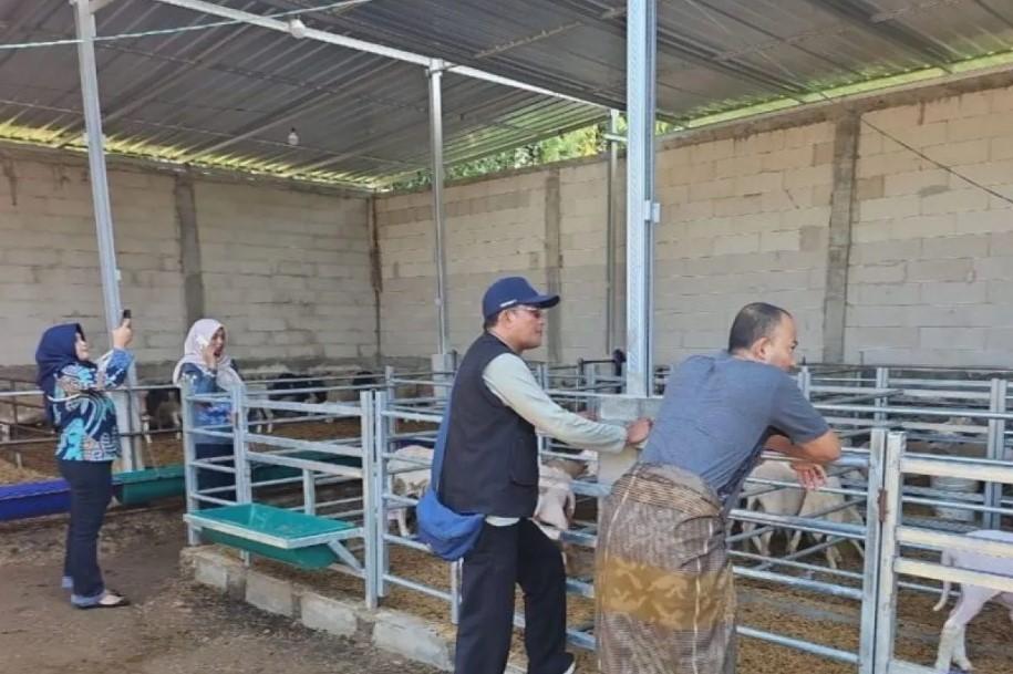 Pemkab Probolinggo Fasilitasi Pengawasan Ternak Impor Australia di PT Tombak Mas Nusantara