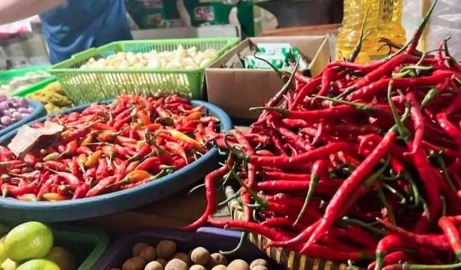 Harga Pangan Nasional 14 September 2025: Mayoritas Komoditas Turun