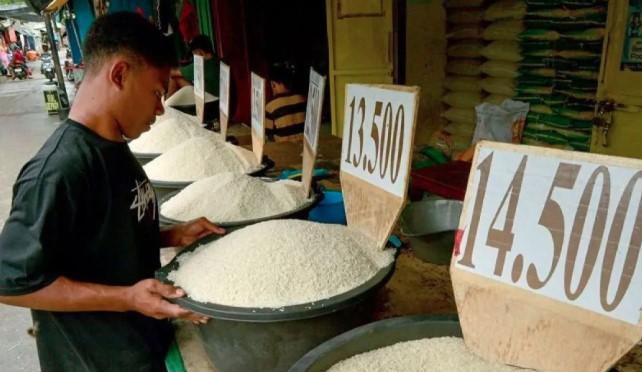 Harga Beras Premium dan Sejumlah Komoditas Pangan Turun, Bapanas: Stabilitas Pasokan Mulai Terjaga