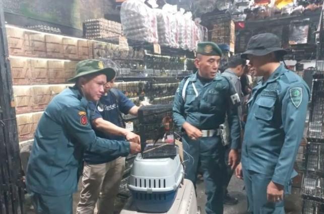 Kemenhut Amankan 162 Burung Dilindungi di Banten, Bongkar Perdagangan Satwa Ilegal