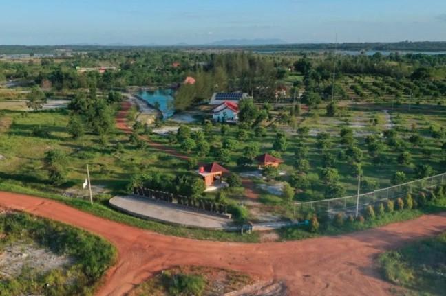 PT Timah Reklamasi 75 Hektare Lahan Bekas Tambang di Babel, Tanam Pohon Produktif dan Lestarikan Satwa
