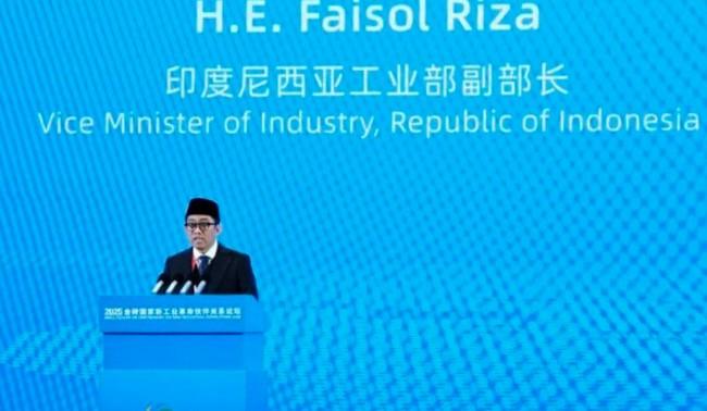 Wamenperin Tegaskan Komitmen Industrialisasi Inklusif di Forum BRICS, Dorong Manufaktur Cerdas dan Kolaborasi Global