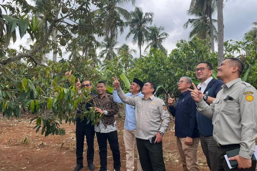 PTPN I Perkuat Hilirisasi Kelapa, Kakao, Mete, dan Kopi dengan Dana Rp7 Triliun