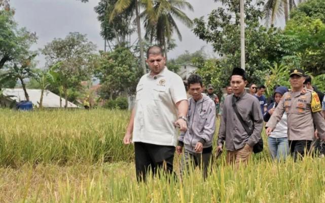 Anggota DPR Rajiv Tegaskan Distributor Jangan Permainkan Pupuk Subsidi, Siap Cabut Izin dan Tempuh Jalur Hukum