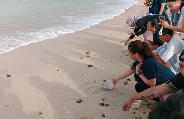 Lepas 75 Tukik di Pantai Mandalika, Pullman Lombok Dukung Pelestarian Penyu dan Kebersihan Laut