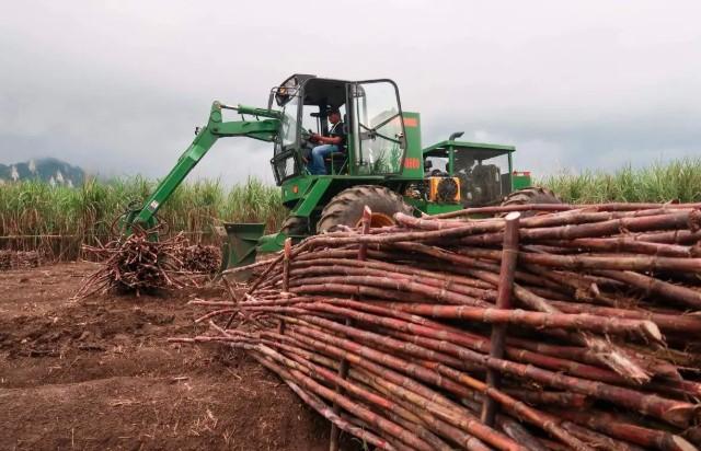 APTRI Apresiasi Penyerapan Gula oleh PT SGN, Danantara, dan Gulavit, Dorong Pemerintah Selesaikan Kuota