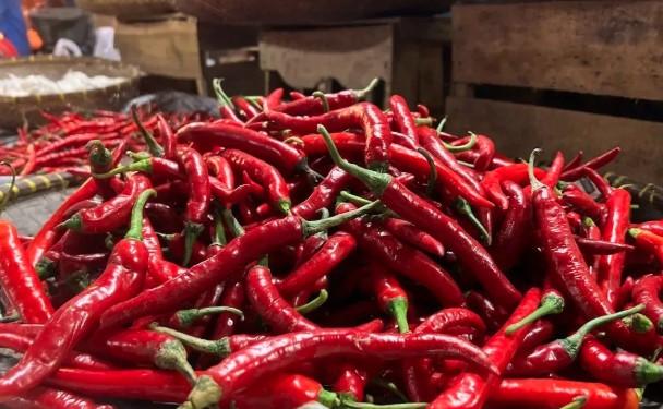 Harga Pangan 20 September 2025: Beras hingga Bawang Turun, Minyak dan Ikan Kembung Naik
