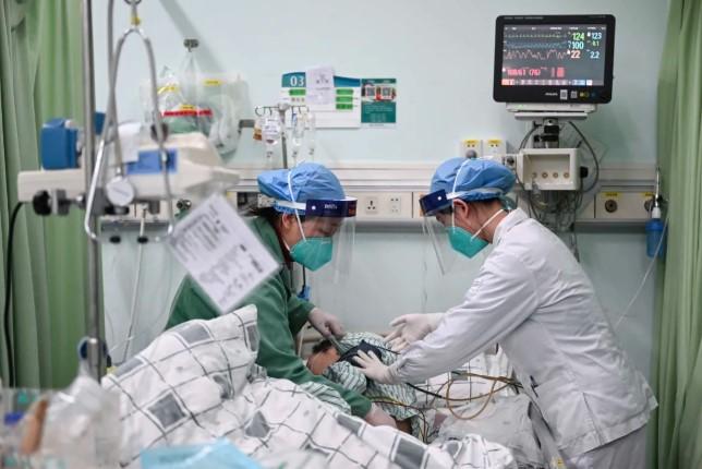 Jiangmen, China Selatan Laporkan 1.714 Kasus Demam Chikungunya, Pemerintah Luncurkan Respons Darurat