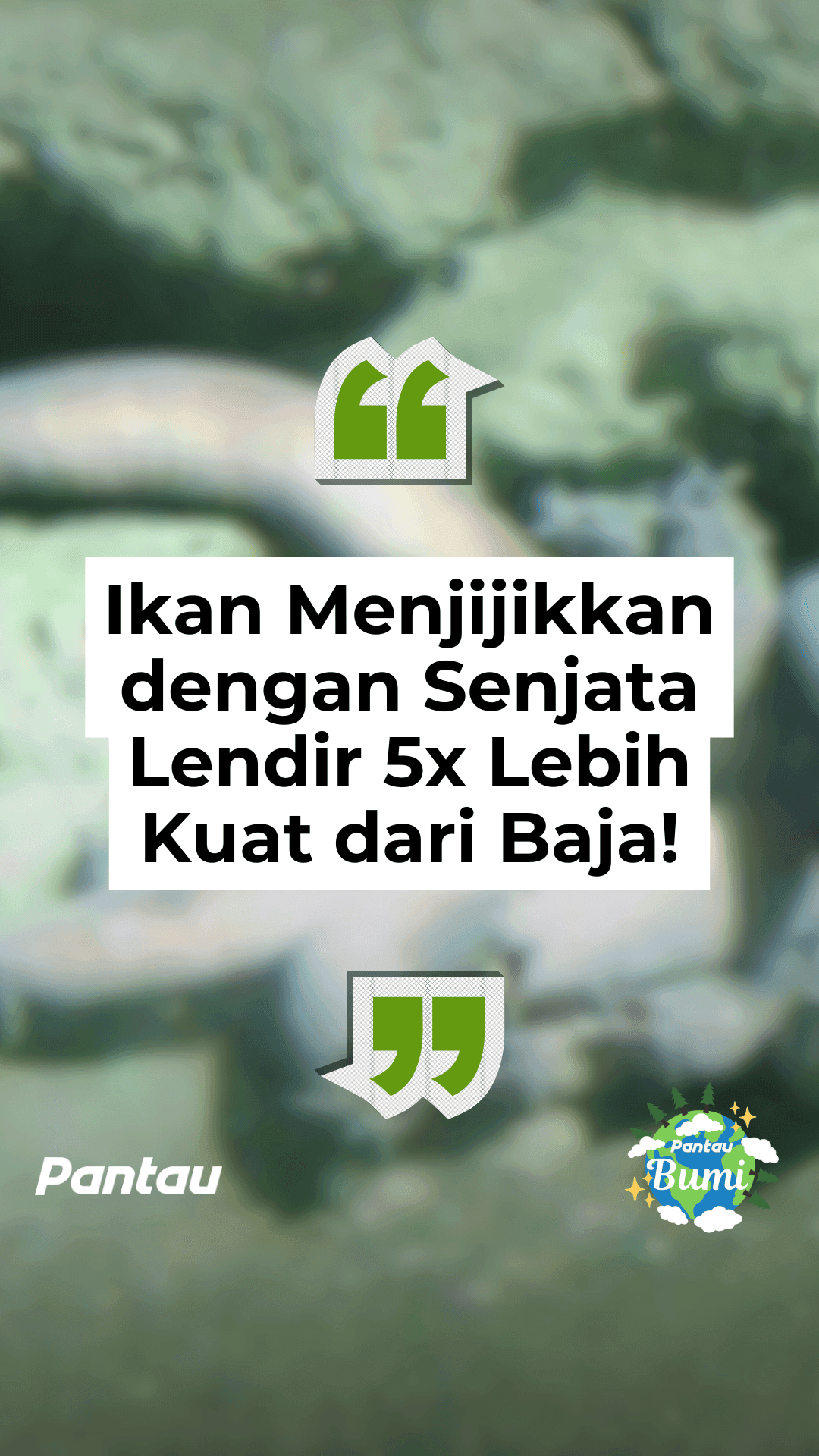 IKAN MENJIJIKAN DENGAN SENJATA LENDIR 5x LEBIH KUAT DARI BAJA