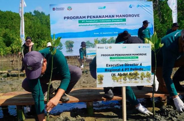 Pelindo Canangkan Rehabilitasi Mangrove di Bone, Dorong Pelabuhan Ramah Lingkungan dan Sejahterakan Masyarakat