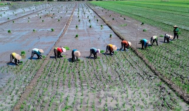 Hari Tani Nasional 2025: Reforma Agraria Mendesak Diintegrasikan dengan Kebijakan Ekonomi Nasional