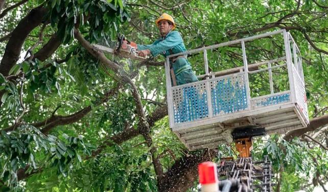 Topan Super Ragasa Ancam China Selatan, Lebih dari 1 Juta Warga Guangdong Dievakuasi