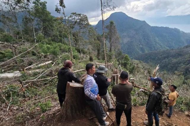 Kepala Desa di Aceh Tengah Ditangkap karena Alihfungsikan Hutan Lindung Jadi Kebun Pribadi