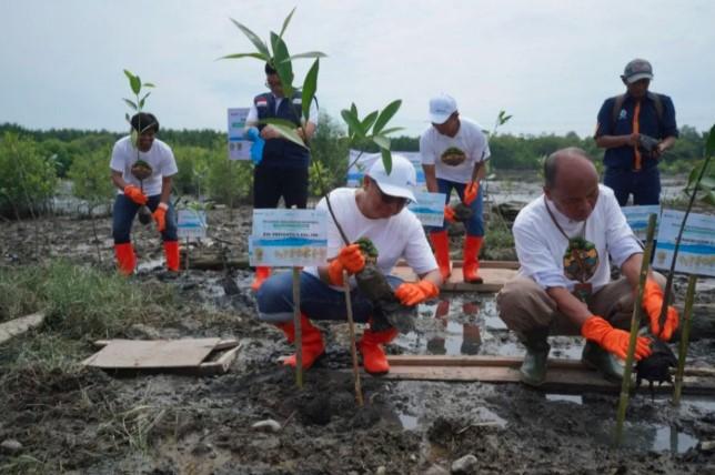 Pelindo Multi Terminal Tanam 11.000 Mangrove di Danau Siombak, Dorong Peran Serta Masyarakat dalam Pelestarian Lingkungan