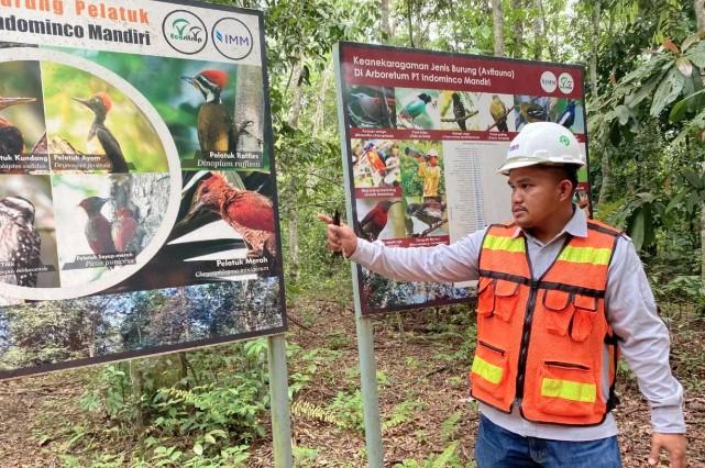 Indominco Reklamasi 9.558 Hektare Lahan Bekas Tambang, Ciptakan Arboretum dan Pusat Konservasi