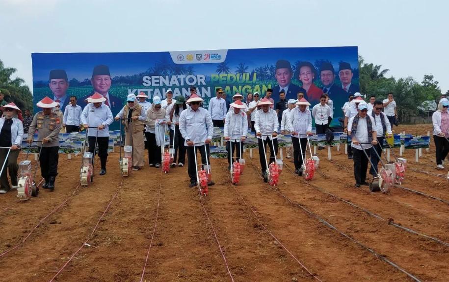 DPD RI Canangkan Gerakan Tanam Jagung Nasional di Empat Provinsi