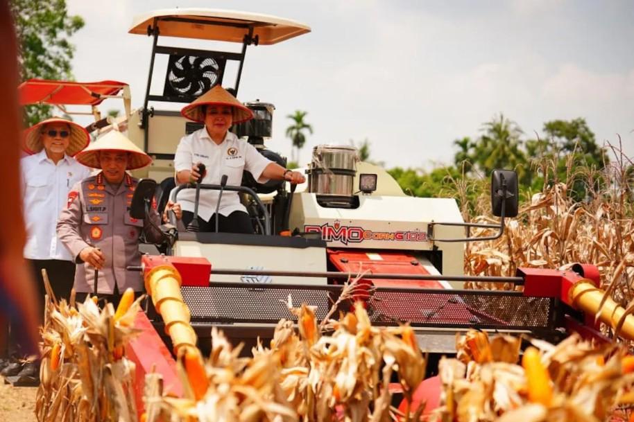 Kapolri Proyeksikan Panen Jagung 751 Ribu Ton pada Akhir September 2025