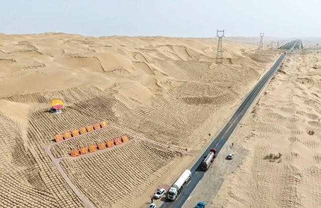 Jalan Raya Gurun Tarim, Keajaiban Teknik dan Ekologis yang Menembus "Laut Kematian" di Xinjiang