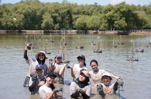 Pemkot Surabaya dan WVI Tanam Seribu Pohon Bakau demi Restorasi Pesisir Wonorejo