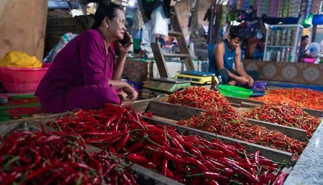 Harga Beras dan Cabai Turun, Bapanas Catat Penurunan Harga Pangan di Akhir September 2025