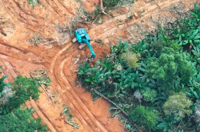 Kemenhut Tetapkan JA sebagai Tersangka Pembukaan Hutan Lindung untuk Sawit Ilegal di Konawe Selatan