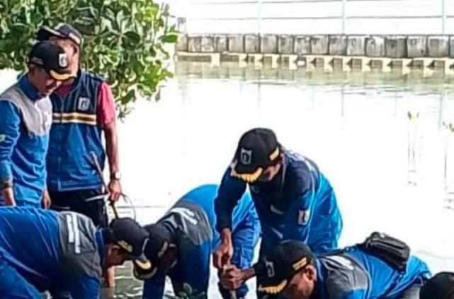 Pemkab Kepulauan Seribu Tanam 50 Mangrove di Pulau Tidung untuk Cegah Abrasi dan Lestarikan Ekosistem