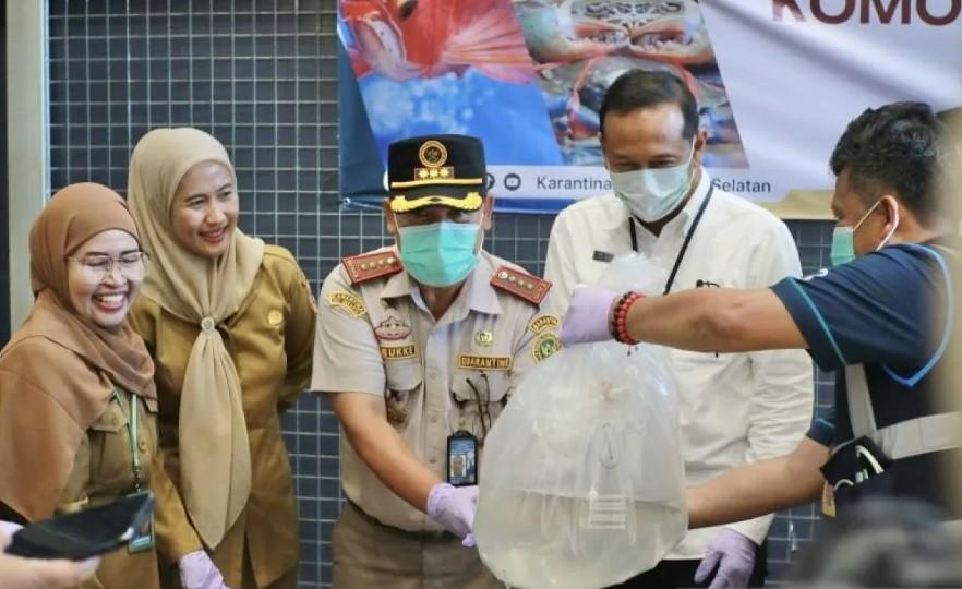 Ekspor Arwana dan Kepiting Bakau Asal Kalsel Tembus Pasar Singapura, Malaysia, dan China