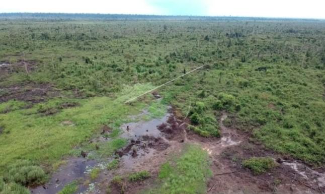 Warga Tanjung Jabung Jadi Tersangka Kasus Jual Beli Lahan dan Perambahan di Tahura OKH