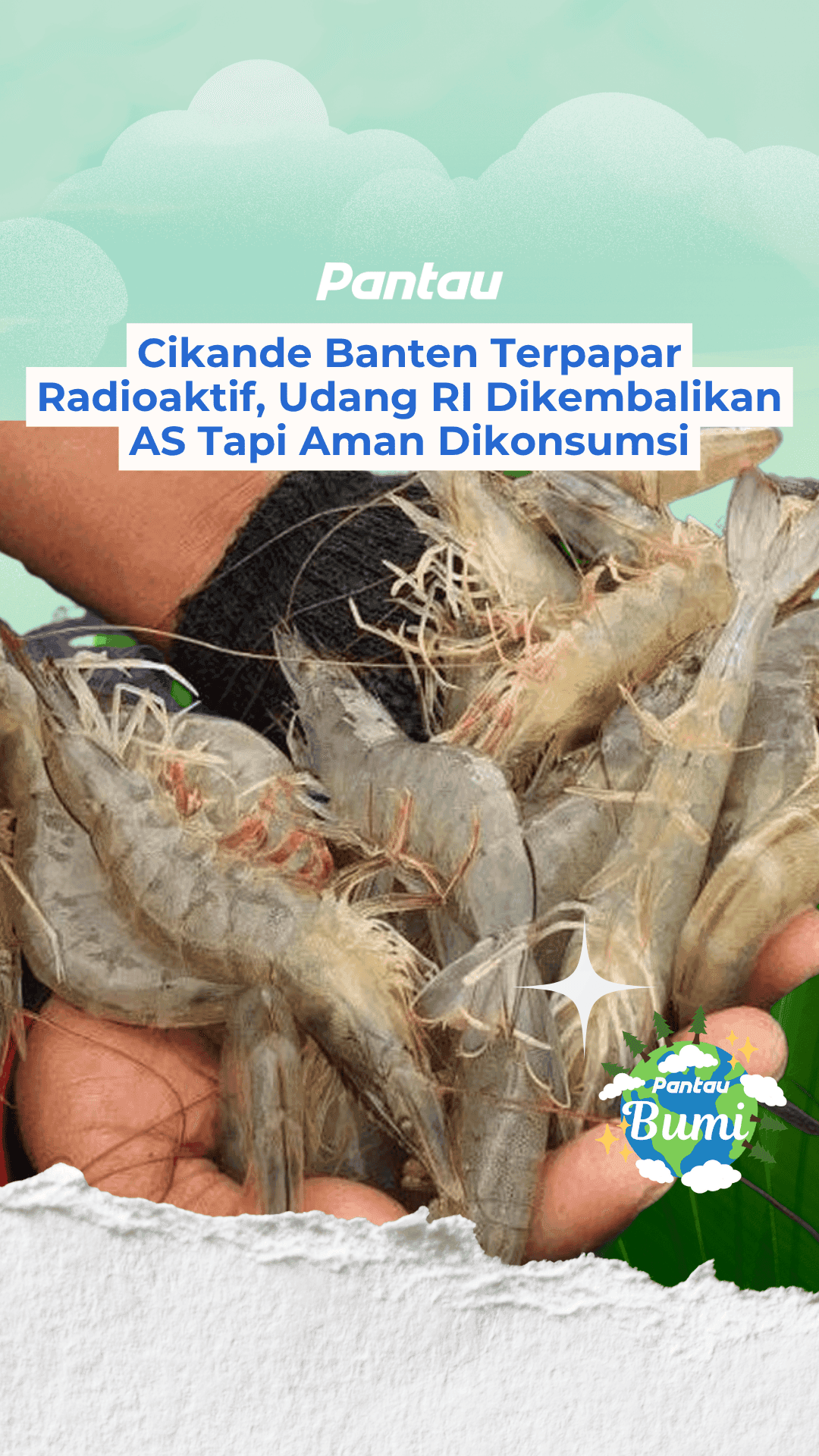 CIKANDE BANTEN TERPAPAR RADIOAKTIF. UDANG RI DIKEMBALIKAN AS TAPI AMAN DIKONSUMSI