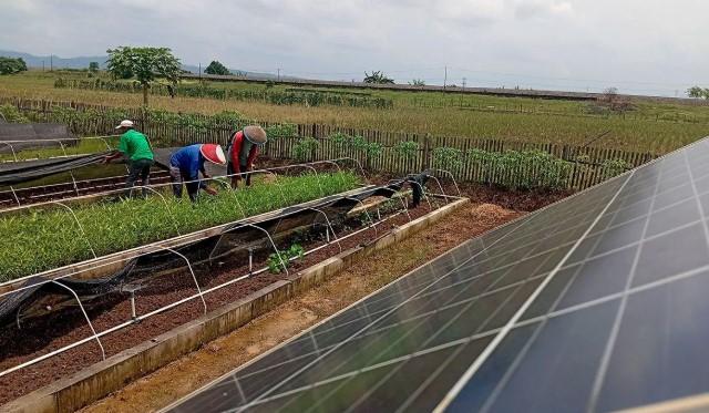 Desa Kalijaran Beralih ke Energi Surya, Petani Kini Lebih Mandiri dan Hemat Biaya