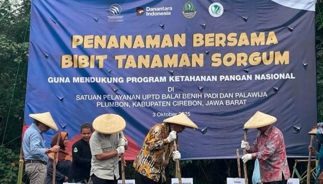 Pemprov Jabar Gandeng PTDI Kembangkan Sorgum sebagai Alternatif Pangan di Cirebon