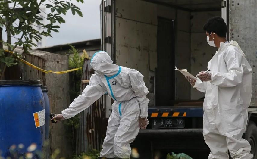 Investigasi Cengkeh Terkontaminasi Cs-137 Dimulai, Pemerintah Tegaskan Fokus Juga pada Kasus Udang