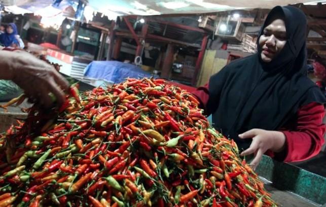 Harga Sejumlah Komoditas Pangan Turun di Awal Oktober 2025, Bapanas Catat Penurunan di Berbagai Sektor