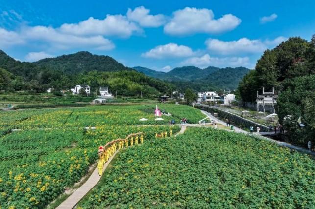 Naga Anyaman Jerami Shuyuan Jadi Daya Tarik Wisata Budaya di Festival Musim Gugur Huangshan