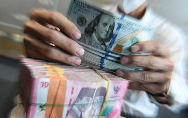 Cadangan Devisa RI Turun Jadi 148,7 Miliar Dolar AS, BI Sebut Pembayaran Utang Jadi Faktor Utama