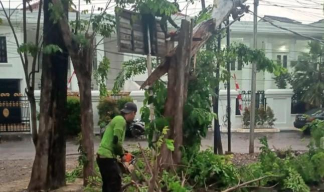 Cegah Risiko Musim Hujan, Sudin Tamhut Jaktim Pangkas 530 Pohon Rawan Tumbang Selama 2025