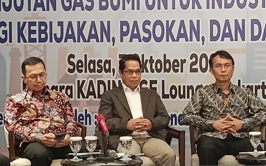 Kebijakan HGBT Dongkrak Nilai Tambah Industri Nasional hingga Rp496,5 Triliun
