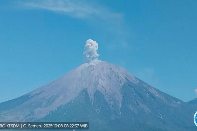 Gunung Semeru Erupsi Delapan Kali Sejak Dini Hari, Kolom Abu Capai 700 Meter