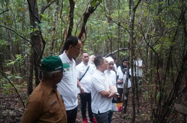 Jasaraharja Putera Tanam 100 Pohon Pelepak di Belitung, Dorong Wisata Hijau Berkelanjutan