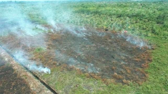 Kebakaran Lahan di Aceh Barat Meluas Jadi 2,3 Hektare, BPBD Terus Lakukan Pemadaman