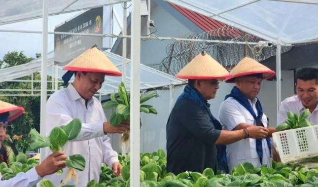 Kemenimipas Dorong Pemberdayaan Warga Binaan untuk Dukung Ketahanan Pangan Nasional