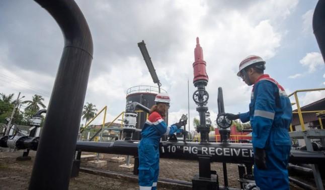 Next Indonesia Center Dorong Perluasan Jargas dan Reformasi Subsidi untuk Tekan Beban LPG
