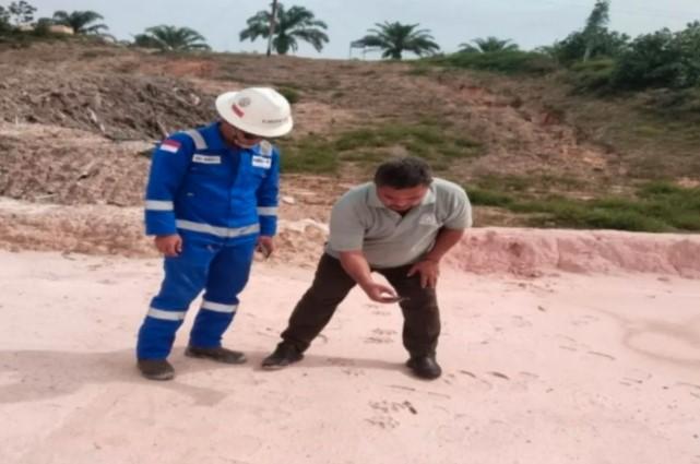 BBKSDA Riau Pasang Kamera Jebak Usai Temuan Jejak Harimau di Area Kerja Pertamina Hulu Rokan