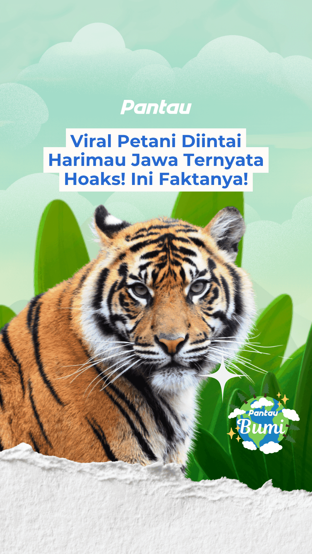 VIRAL PETANI DIINTAI HARIMAU JAWA TERNYATA HOAKS! INI FAKTANYA!