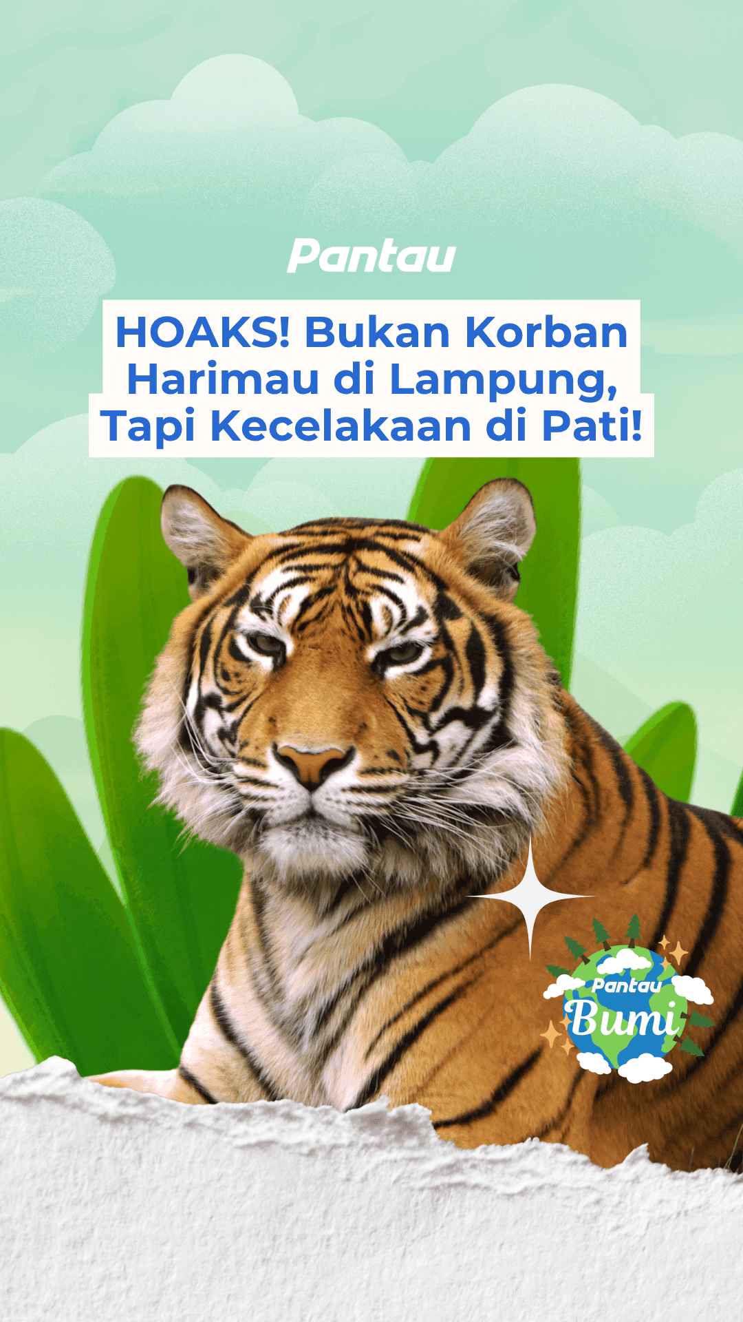 HOAKS! BUKAN KORBAN HARIMAU DI LAMPUNG, TAPI KECELAKAAN DI PATI!