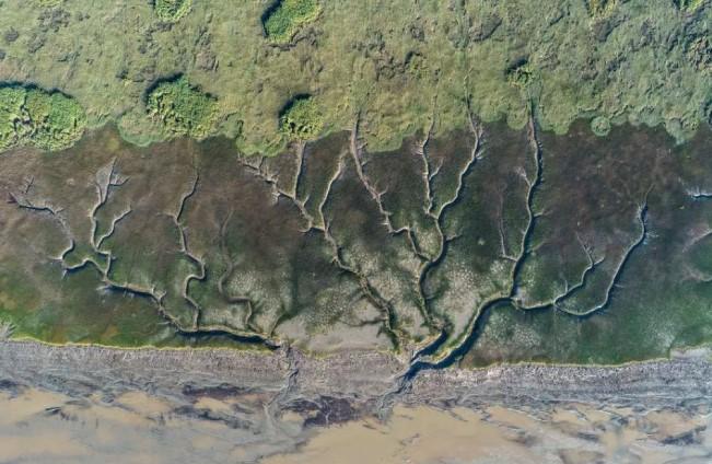 Pola Alami Berbentuk Pohon Muncul Usai Gelombang Pasang Sungai Qiantang di China
